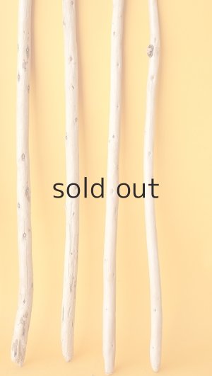 画像6: 棒流木セット