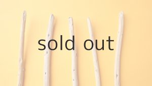 画像4: 棒流木セット