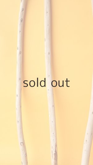 画像5: 棒流木セット