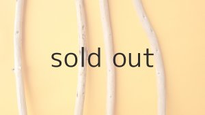 画像3: 棒流木セット