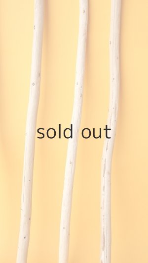 画像6: 棒流木セット