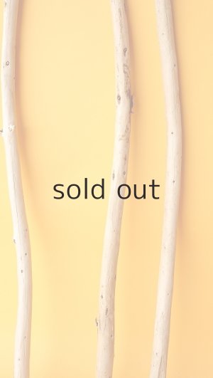 画像5: 棒流木セット