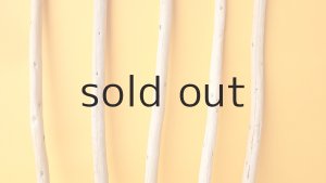 画像3: 棒流木セット