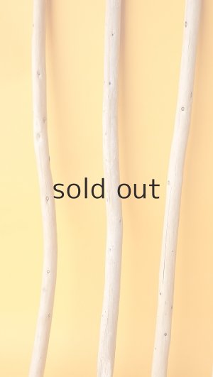 画像5: 棒流木セット