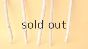 画像2: 棒流木セット