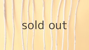 画像3: 棒流木セット