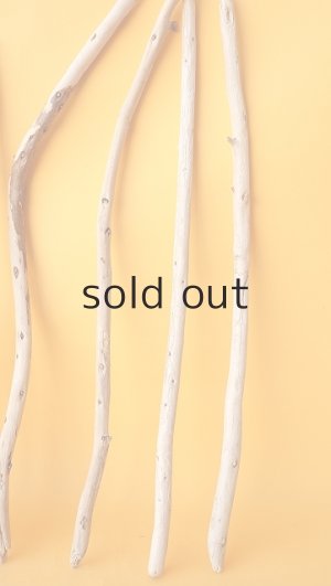 画像6: 棒流木セット