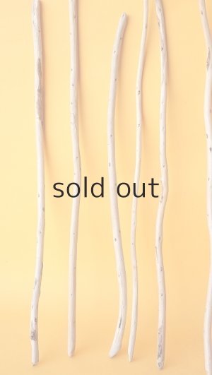 画像5: 棒流木セット