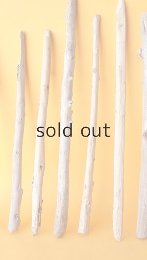 画像5: 棒流木セット