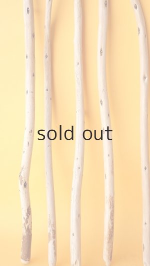 画像5: 棒流木セット