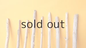 画像3: 棒流木セット