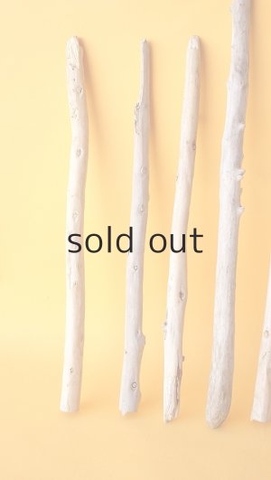 画像4: 棒流木セット