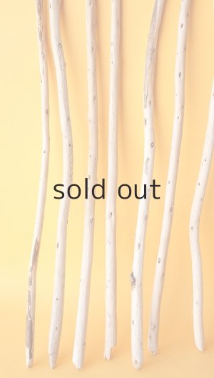 画像5: 棒流木セット