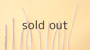 画像4: 棒流木セット