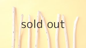 画像4: 棒流木セット