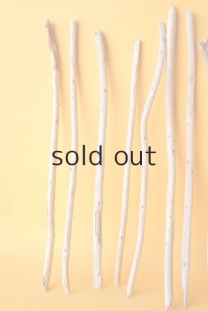 画像2: 棒流木セット