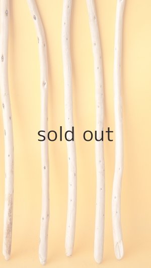 画像6: 棒流木セット