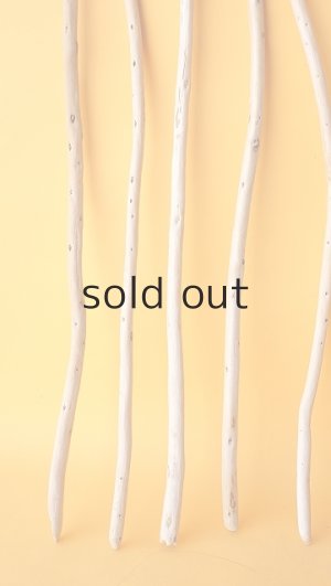 画像5: 棒流木セット