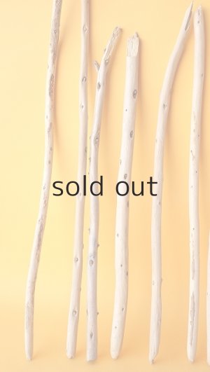 画像4: 棒流木セット