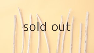 画像4: 棒流木セット