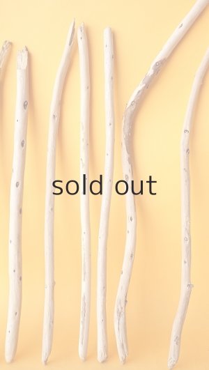 画像5: 棒流木セット