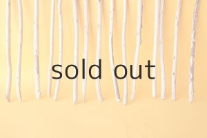 画像5: 棒流木セット