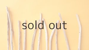 画像4: 棒流木セット