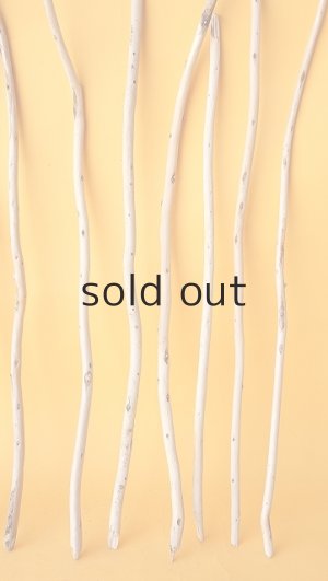 画像6: 棒流木セット