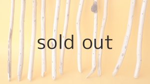 画像2: 棒流木セット