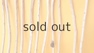 画像3: 棒流木セット