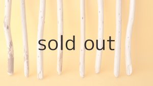 画像2: 棒流木セット