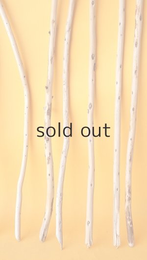 画像6: 棒流木セット