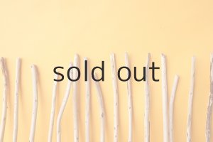 画像6: 棒流木セット