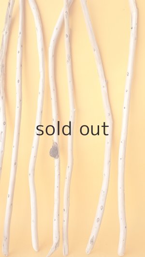 画像6: 棒流木セット