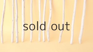 画像2: 棒流木セット