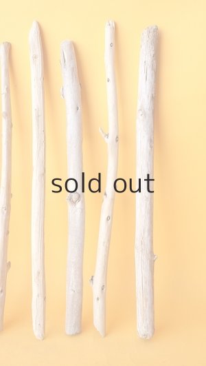 画像6: 棒流木セット