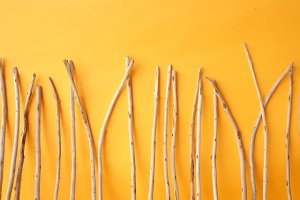 画像6: 棒流木セット