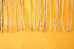 画像5: 棒流木セット