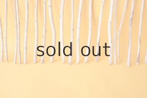 画像5: 棒流木セット