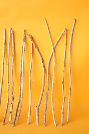 画像4: 棒流木セット