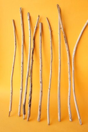 画像2: 棒流木セット