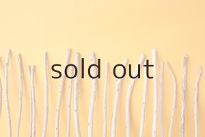 画像6: 棒流木セット