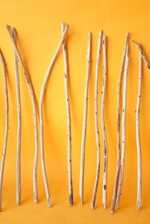 画像3: 棒流木セット