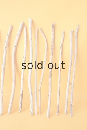 画像4: 棒流木セット