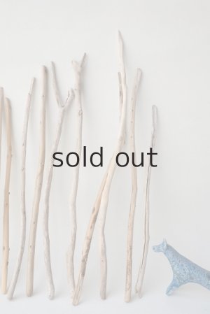 画像4: 棒流木セット