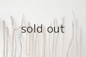 画像6: 棒流木セット