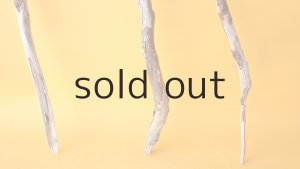 画像2: 枝流木セット