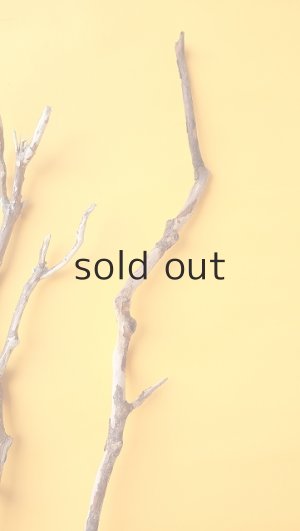 画像5: 枝流木セット