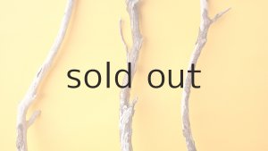 画像3: 枝流木セット