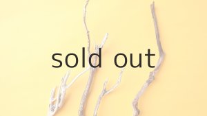 画像4: 枝流木セット